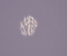 3 Object zoomed enlarged